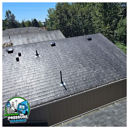 How Often Should You Clean Your Roof, Windows, and Siding in Tacoma?