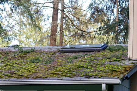 How Pacific Northwest Weather Impacts Your Roof and Siding