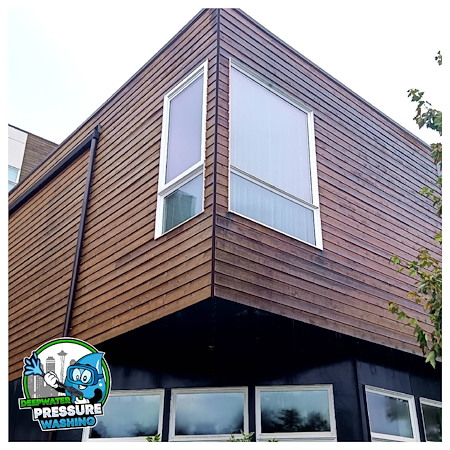 The Benefits of Professional Window Cleaning for Your Home