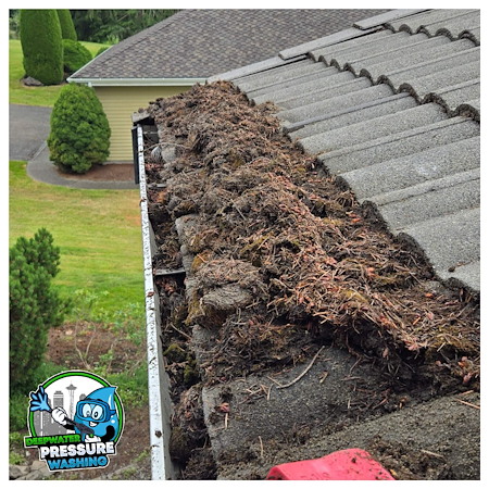 Why Spring Is the Best Time to Pressure Wash Your Home in Tacoma