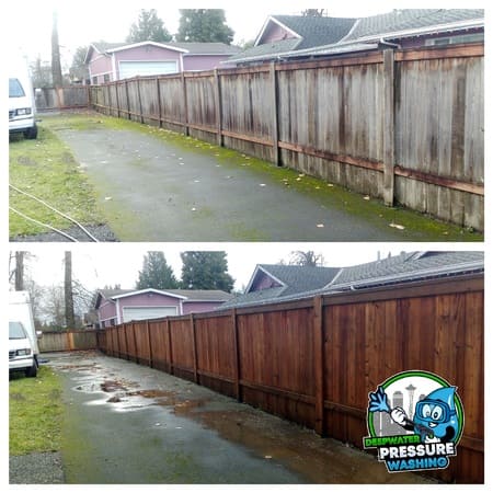 Fence Cleaning