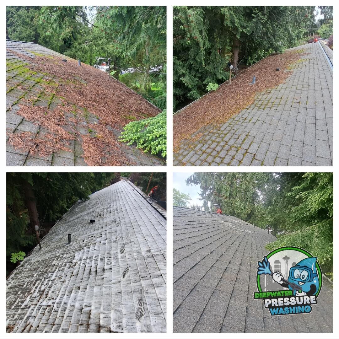 Roof cleaning tacoma wa